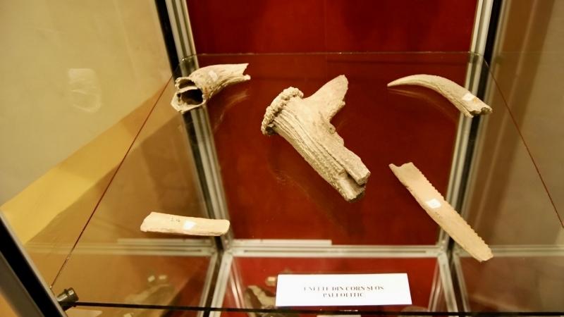 Muzeul Municipal DEJ - “COLECTIA DE ARHEOLOGIE”